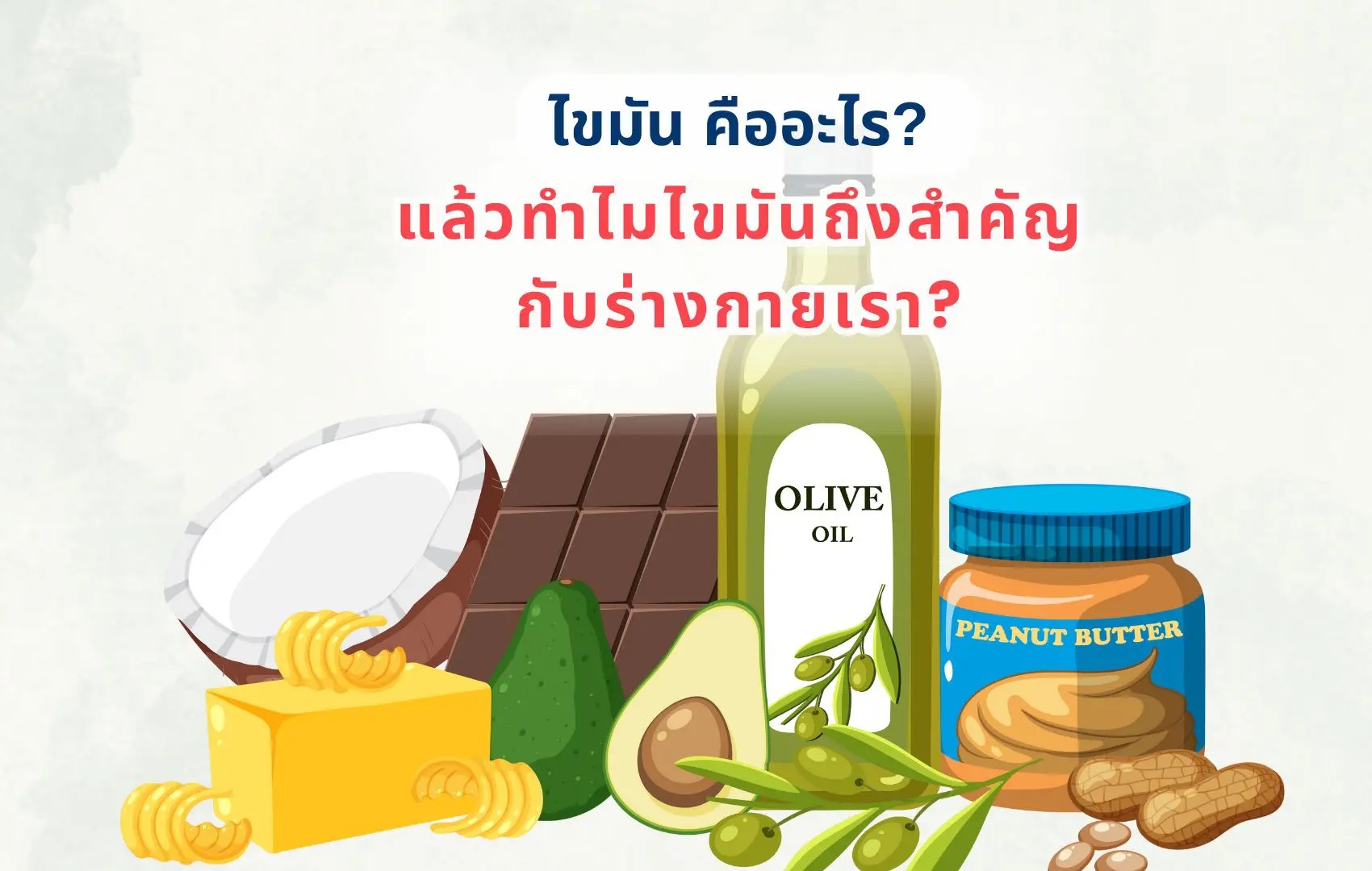 ไขมัน คืออะไร? แล้วทำไมไขมันถึงสำคัญกับร่างกายเรา?